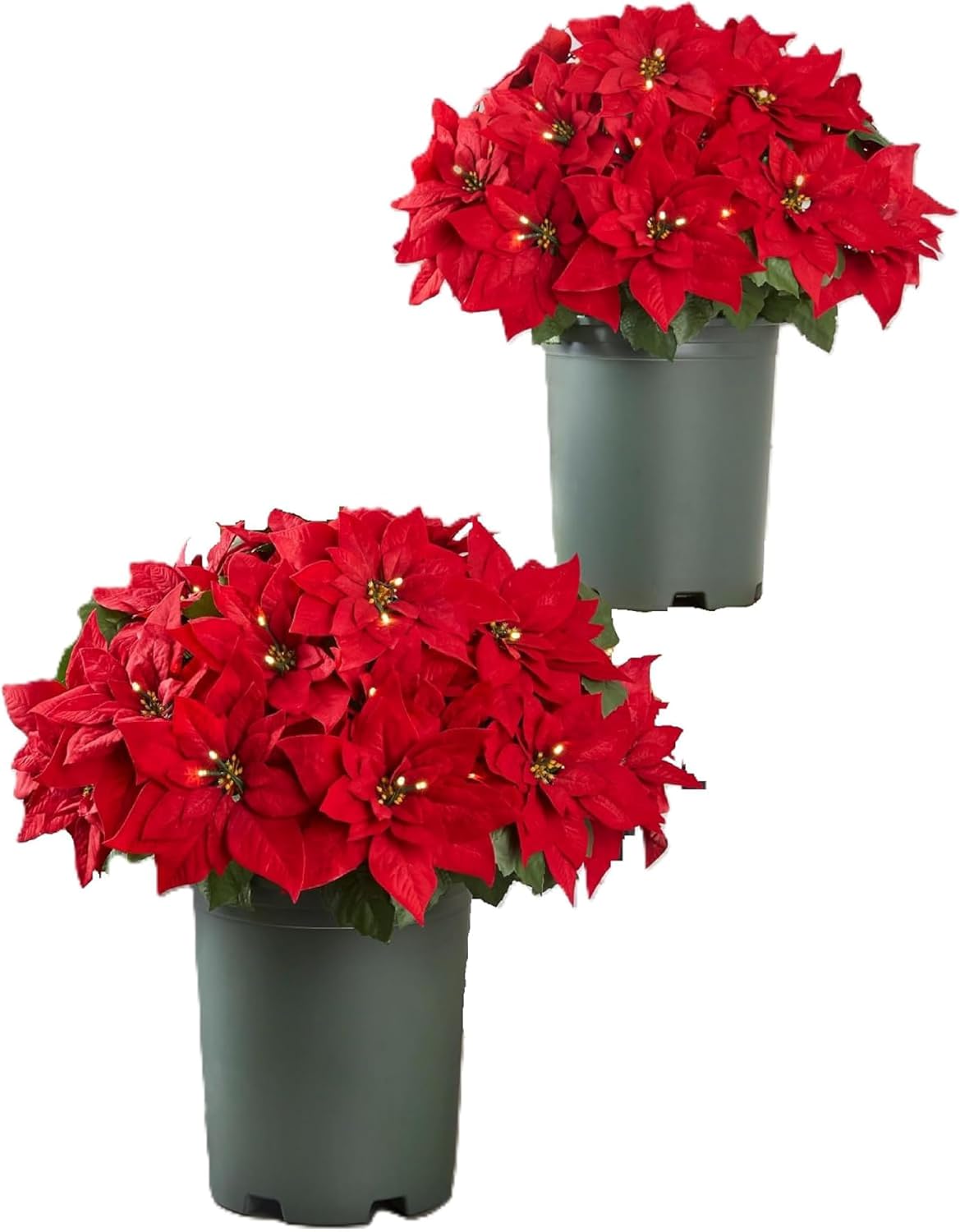 Pre-Lit Outdoor Poinsettia Pot Fillers