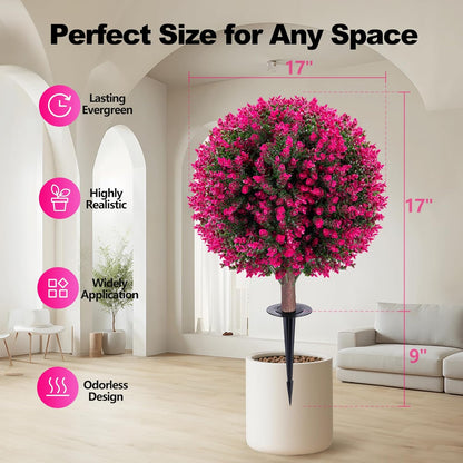 Pink Eucalyptus and Boxwood Topiary Set